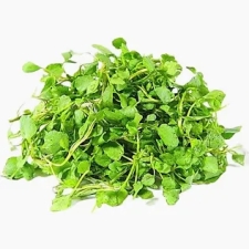 XÀ LÁCH XOONG NHUYỄN