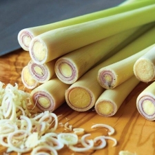 SẢ BÀO