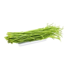RAU MUỐNG (CỌNG)