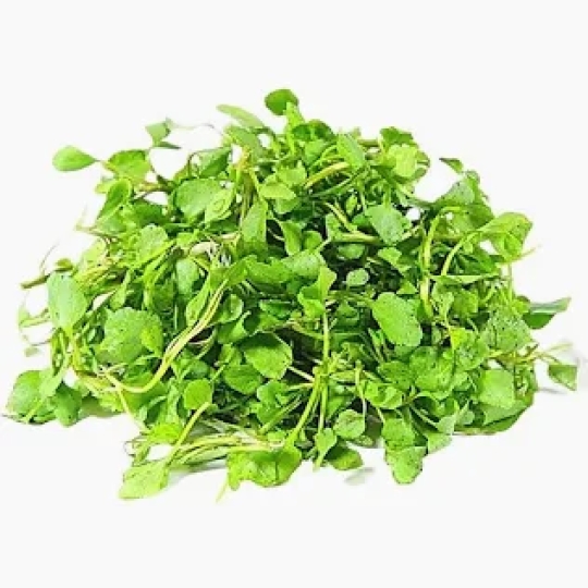 XÀ LÁCH XOONG NHUYỄN